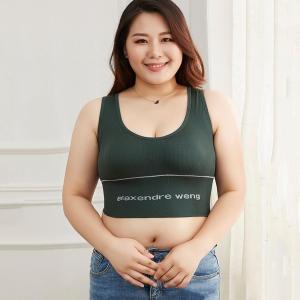 Áo Tập Gym Yoga Bra Big Size To Phối Chữ Alex RQN1878 - requane