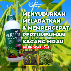 Pupuk Booster Kacang Hijau / Pupuk Penyubur Kacang Hijau / Pupuk Untuk Tanaman Buah Kacang Hijau