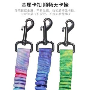 Seat Belt Leash | Dog Leash Dog Collar Cat Leash Cat Collar Pet Leash Pet Collar Animal Collar Animal Leash | Adjustable Strap Size: 45 x 2.5 CM Can stretch up to 74 CM Color:  Blue Green Rainbow