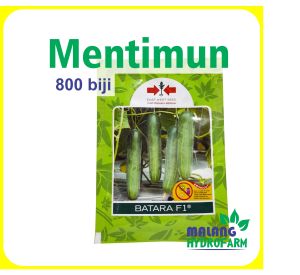 Benih Mentimun Batara F1 800 biji Cap Panah Merah dataran rendah menengah unggul bibit biji sayur timun ketimun hidroponik hydroponik