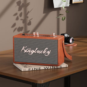 Kinyo S16 Bluetooth 5.3 Speaker System Portable Wireless Bluetooth-compatible Home Karaoke Speakers 蓝牙声卡音箱 可连接麦克风