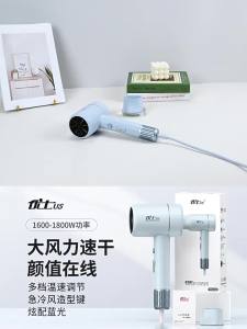AE Yongri Portable Blue Light Hair Dryer Customizable Hot and Cold Air High Power Household Electric Hair Dryer