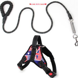 Bộ dây dắt Chó phản quang có lò so trợ lực kèm đai yếm ngực có đệm lưng - Love pets shop