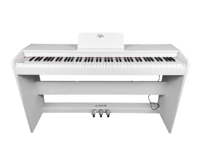 Clifton DWP-1 Weighted Keys Digital Piano