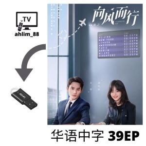 USB China Drama 2 in 1 向风而行 + 远的要命的爱情 华语中字 Chinese subtitle 大陆剧