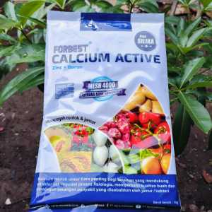 Forbest Calcium Active Pupuk Kalsium Aktif 1kg Mencegah Rontok Buah Busuk Buah Original PT dyriz
