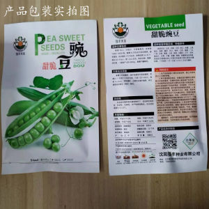 ถั่วเขียวหวานและกรอบ    ถั่วพีที่มีอายุยืนยาว ถั่วดัตช์จากฟาร์มสี่ฤดู ผลผลิตสูง ทนความเย็น