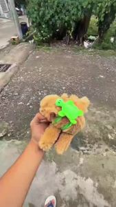 Boneka Capybara viral nempel tangan pake tas kura kura kecil ring pop gelang peluk plushie huggie DOLL clingy jennie elet wrist lyinh down capybara maxwell bahan bulu pendek capybara tangan bahan bulu ya capybara murah nemplok di tangan