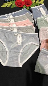 Quần lót nữ cotton set5c cao cấp quần chíp nữ chất xịn