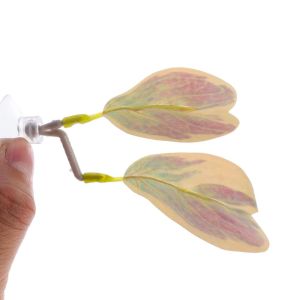 K0K4DQ Plastic Betta Fish Rest Leaf Creative with Suction Cups Artificial Plants Grass Ornament Simulated Fish Leaf Fish Tank