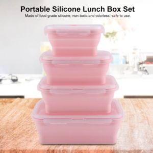 [Local Seller] Silicone Collapsible Lunchbox Lunch Box Food Storage Container Bento BPA Free Microwavable Portable Picnic Camping Outdoor