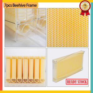 【ของแท้100% 】บ้านไม้รังอัตโนมัติ7ชิ้นกรอบรังผึ้งรังผึ้งไม้ผึ้งการเลี้ยงผึ้งอุปกรณ์Hiveเครื่องมือการเลี้ยงผึ้ง