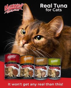 MAXWELL CAT Wet Food Premium Canned Food For Cats 400g