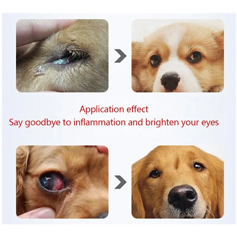 5ml Gentamicin Pet Eye Drops Dog Cat Remove Tear Stains Dirt