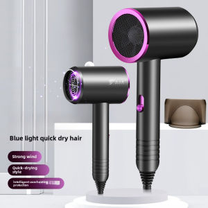 DELIYA 800W Constant Temperature Hot Cold Wind Hair Dryer with Nozzle