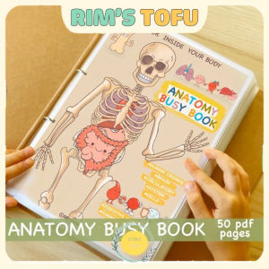 Bộ học liệu bóc dán montessori Khám phá giải phẫu cơ thể Anatomy Busy Book