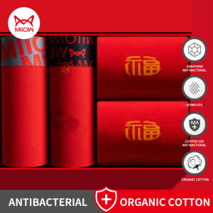 2 Cái Quần Lót Boxer 2 Đôi Tất Bộ Cotton Quần Lót Nam Boxer Nam Thấp Eo Innerwear Gợi Cảm Quần Lót Nam võ Sĩ Quần Short Quần Lót Nam M1602