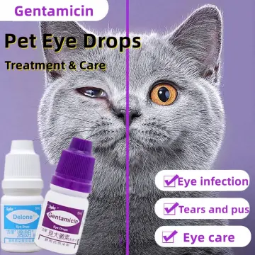 Eye meds for cats best sale