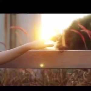 车载新款LED化妆镜子化妆镜汽车镜面遮阳板便携高清New car led vanity mirror vanity mirror car mirror sunshade portable HD