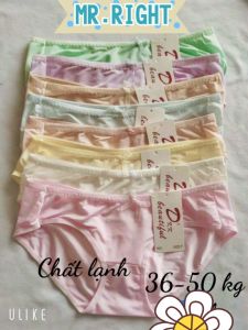 Bộ 10 Quần lót Trơn thun lạnh phối ren mịn Mát - Quần chip Nữ 36 - 50kg