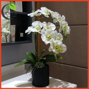 Hoa giả chậu lan để bàn kệ tủ 2 nhánh kèm sen đá cao 48cm trang trí nhà cửa văn phòng cửa hàng lớp học