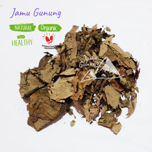 Daun Jati Belanda 250gr Grade A - Bersih dan Organik