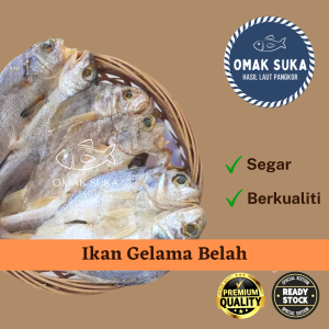 Ikan Masin Gelama Belah Pangkor Kurang Masin (200g) Rangup Bersih Ikan Masin Gelamah Pulau Pangkor