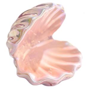 Elegant Ceramic Shell Shaped Trinket Tray Decorative Home Decorative Organizers For Display Storage