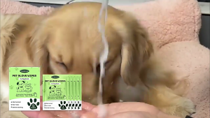 Hypoallergenics Pet Care Gloves No Rinses Solution Disposable Bathing Wipes For Sensitive Skin Removes Greases Dirt