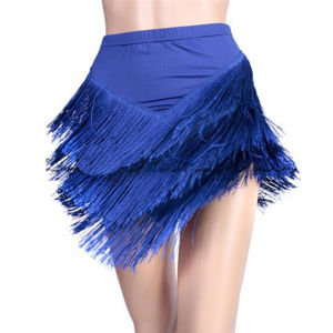 Womens Latin Dance Skirt Latin Fringed Tassels Skirt Irregular V-Shape Dance Wear Red Blue Green Black Big Size 5XL