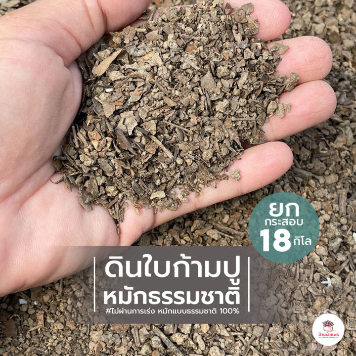 ดินใบก้ามปูหมักธรรมชาติ 18 กก. สำหรับแคคตัส ไม้อวบน้ำ