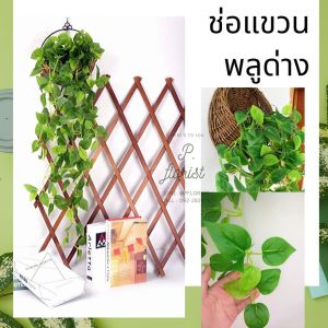 ช่อแขวนพลูด่าง พลูด่าง พลูด่างปลอม ช่อใบไม้ย้อย ใบพลูด่างย้อย ดอกไม้ปลอม ช่อไม้เลื้อย ตกแต่งบ้าน TS- 17678 (พร้อมส่ง)