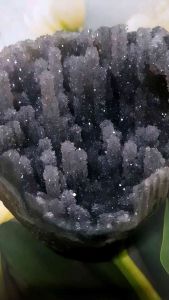 KRISTAL SG: Exotic Colour Crystal Forest (彩晶森林奇石)