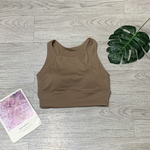 Áo nữ tập gym yoga aerobic thể thao croptop kèm mút đúc chất liệu thun lạnh BINSPORTS A241