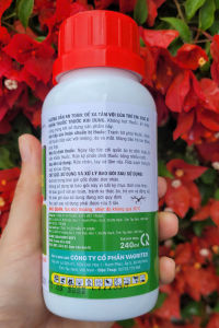 [TRUNG THIEN THINH] Thuốc trừ sâu MESSIGOLD 450EC chai 240ml phòng ngừa sâu cuốn lá sâu đục thân trên cây trồng