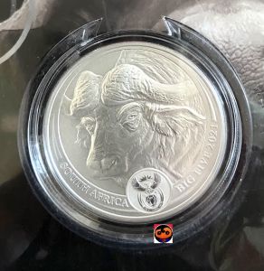 2021 Silver African 1 oz Big Five Series - Buffalo .999 Coin