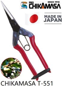 CHIKAMASA T-551 Sprout Cutting Scissors / Fruit-picking scissors / Gardening great for bonsai 摘果/ 摘花 Made In Japan