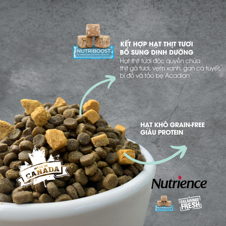 Th%E1%BB%A9c%20%C4%83n%20cho%20M%C3%A8o%20Nutrience%20Subzero%20Grain-free%20Canadian%20Pacific%20-%206%20lo%E1%BA%A1i%20c%C3%A1%20bi%E1%BB%83n%20v%C3%A0%20rau%20c%E1%BB%A7%20tr%C3%A1i%20c%C3%A2y%20t%E1%BB%B1%20nhi%C3%AAn%20-%20Image%206