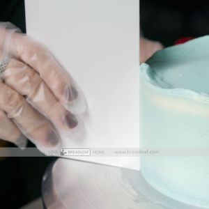 MIẾNG NHỰA CHÀ LÁNG - BREADLEAF