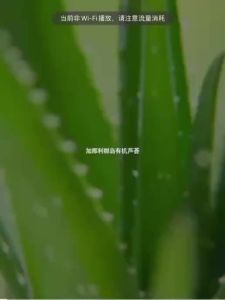 2025Aloe vera gel-Alo vera gel  Aloe vera gel 30g remove acne/acne marks Skin repair after sunburn/scald Lasting moisture whitening skinUCLC