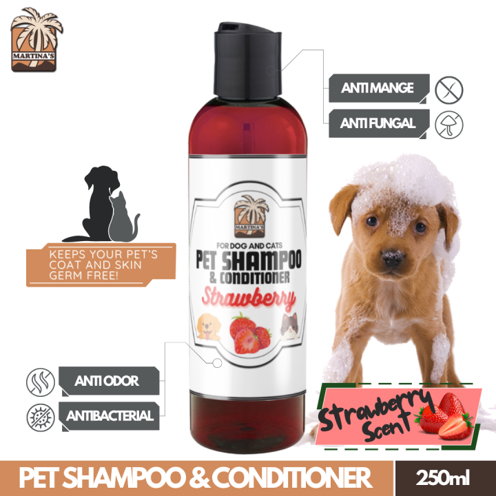 Martina's Pet Shampoo and Conditioner Strawberry Scent (1 x 250ml) Dog  Shampoo With Aloe Vera Extract, Virgin Coconut Oil and Madre De Cacao, Anti 