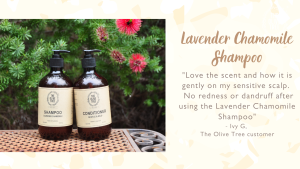 The Olive Tree Lavender Chamomile Shampoo Combo ( 500ml x3 ) for Sensitive / Eczema Skin / Scalp / Hair / Natural / Gentle / Mild / Baby / Kids