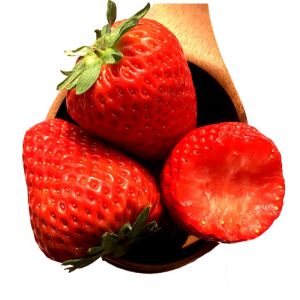 草莓种子四季结果好养易活室内外阳台蔬菜水果盆栽植物花种子籽子