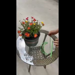 Plant Trellis Support Rack Climbing Plant Holder Garden Flower Stand Vine Support Frame for Indoor Outdoor Plants Garden Decor