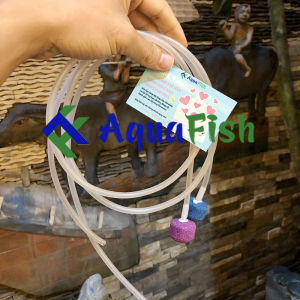 [HOÀN TIỀN 10%]Combo 2 Bộ Dây Và Quả Sủi Dùng Cho Bể Cá