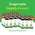 (โปร 24 แถม 6) น้ำพลูคาวสกัด Phlu Khao Juice เครื่องดื่มสมุนไพรรวม. 