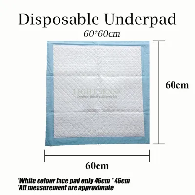 10pcs Disposable Underpad 5PLY 60cmX60cm 60cmX90cm