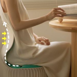 🇸 🇬 ㊙【Own healthy body】🔥 Posture Corrector Chair Back Waist Support for Office Desk Long-Sitting Ergonomic Seat