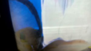 Sharp 40\" Power Supply PCB RDENCA439WJPZ