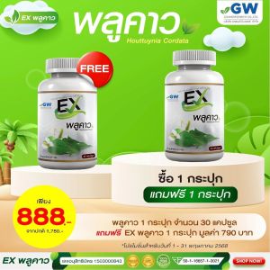 ส่งฟรี‼ ส่งไว 24 ชม.‼ EXพลูคาว 🌿 สมุนไพรพลูคาว คาวตอง เบต้ากลูแคน Houttuynia Cordata 1 กระปุก 30 แคปซูล